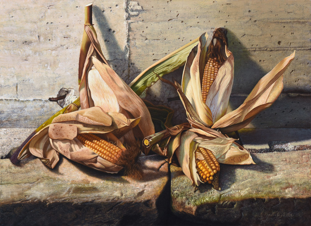 Sandro Bastioli. Hyperrealistic still life painting: artwork depicting corn cobs resting on stone. Celebration of light and material details. Interior