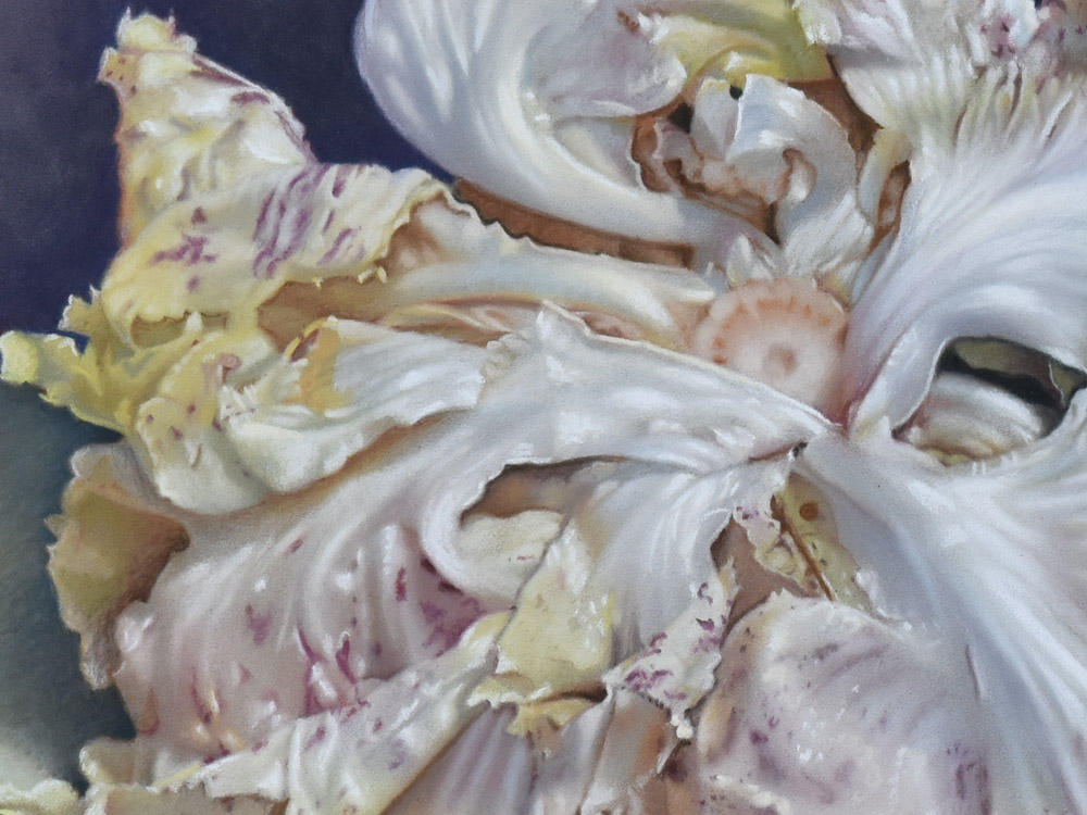 Sandro Bastioli. Pastel composition: natural architectures of artichokes and cabbage leaves. An artwork dominated by cold tones and pure elegance. Detail 1