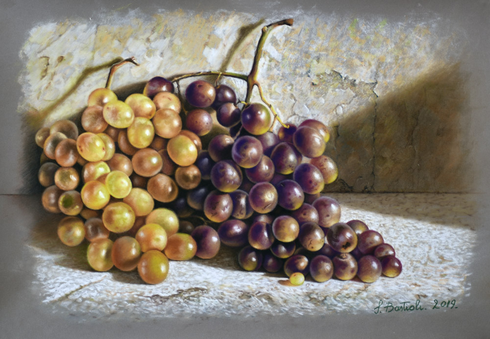 Sandro Bastioli. Dipinto a pastello iperrealista: grappolo d'uva illuminato dal sole su base minerale. Straordinaria trasparenza dei chicchi.