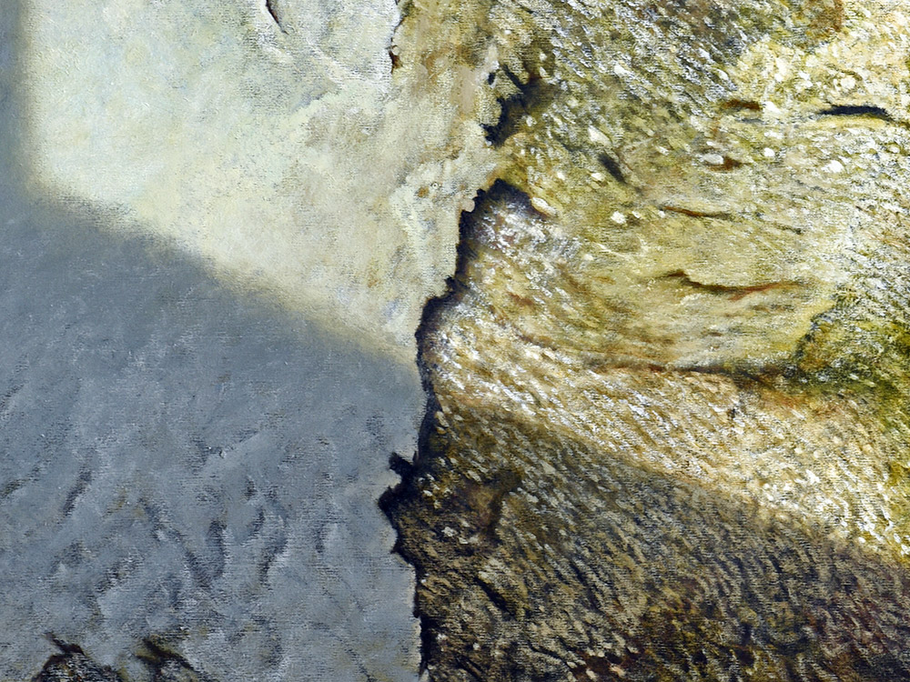 Sandro Bastioli. Contemporary oil on canvas painting: artwork depicting abstract wall. A painting that enhances the details of matter worn by time. Detail 1