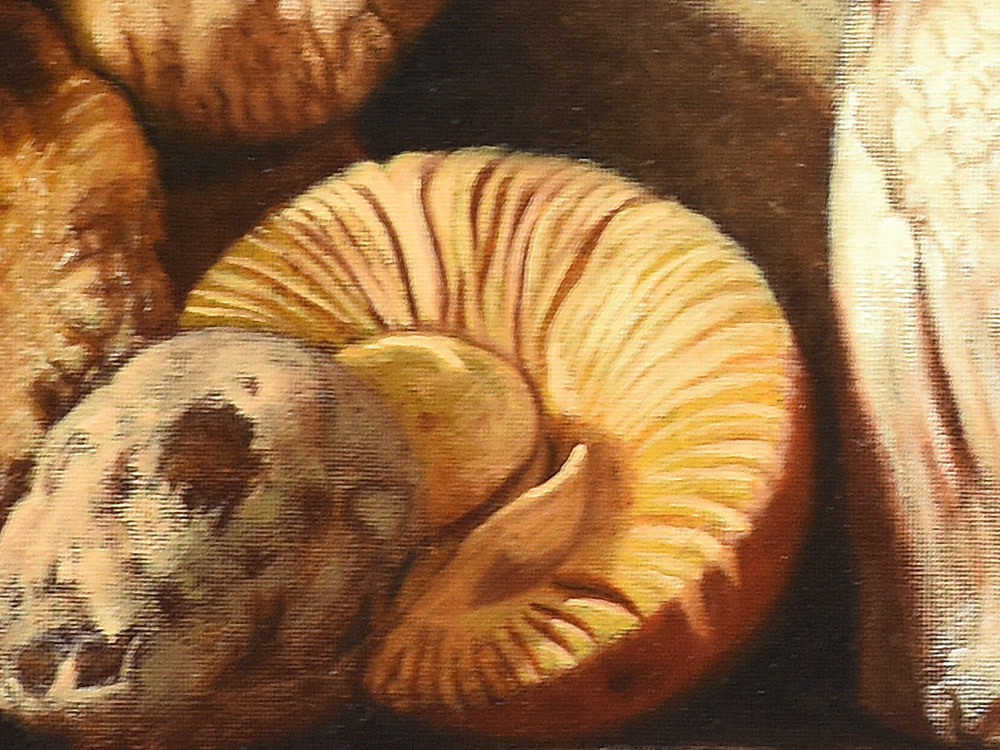 Sandro Bastioli. Quadro contemporaneo olio su tela: composizione di funghi in perfetta armonia con le venature della pietra fredda. Dettaglio 1