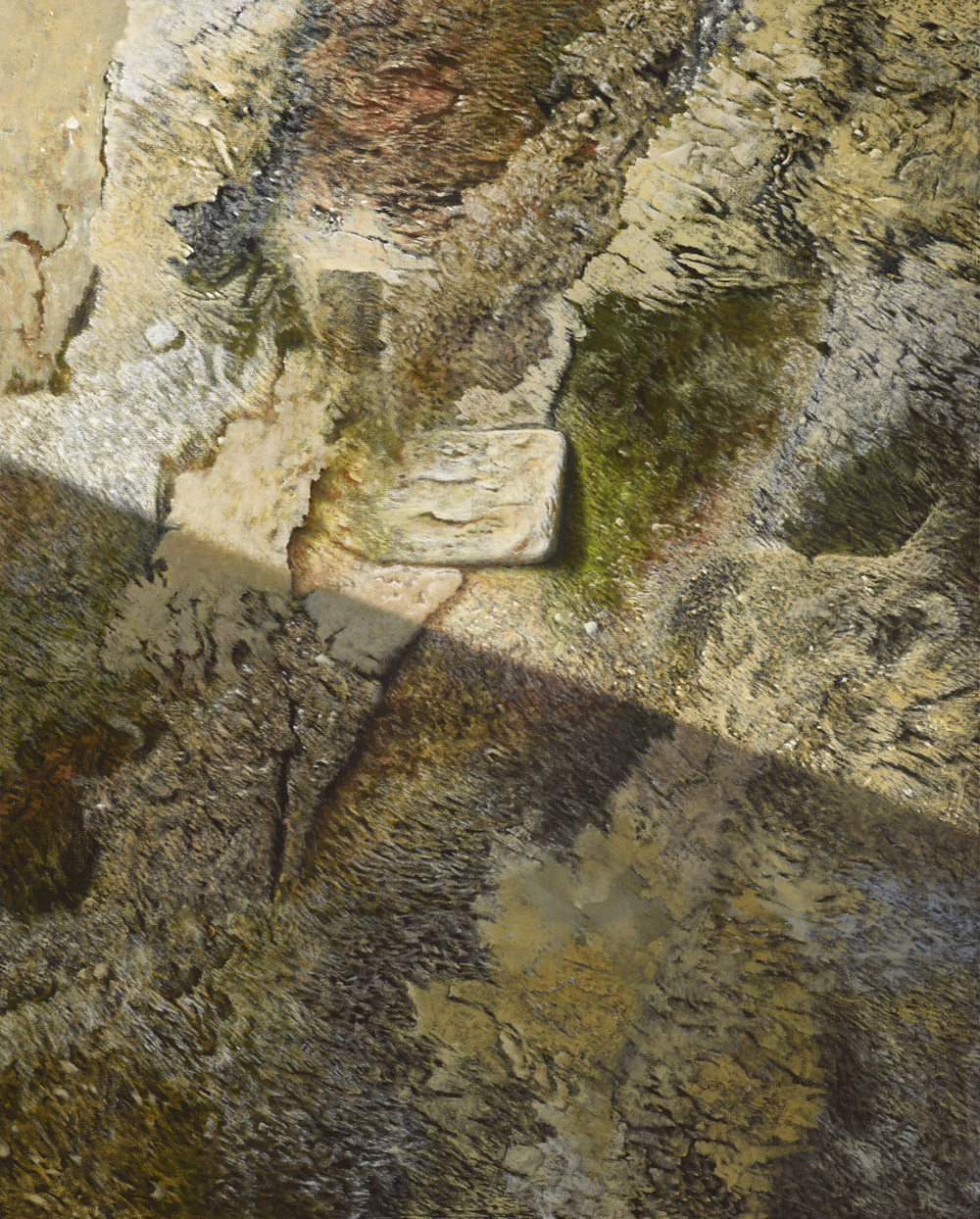 Sandro Bastioli. Quadro iperrealista olio su tela: opera raffigurante muro antico. Dipinto caratterizzato da una resa visiva straordinaria.